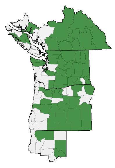 Map of where plant is found