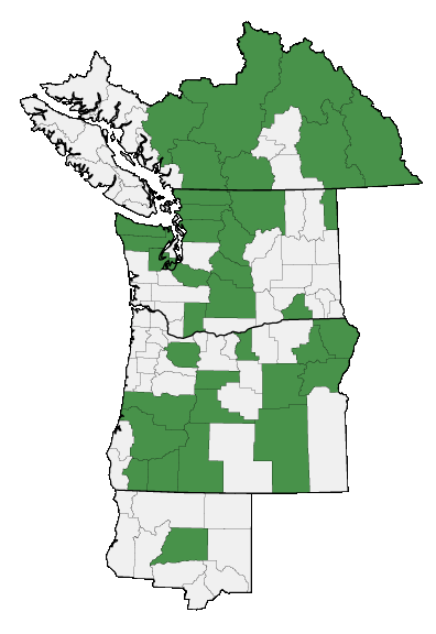 Map of where plant is found
