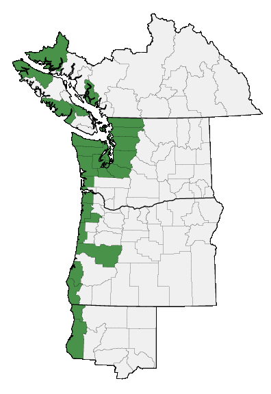 Map of where plant is found