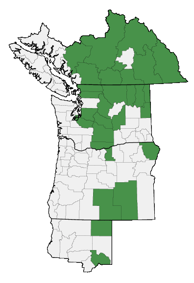 Map of where plant is found