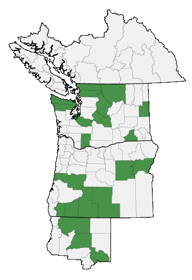 Map of where plant is found
