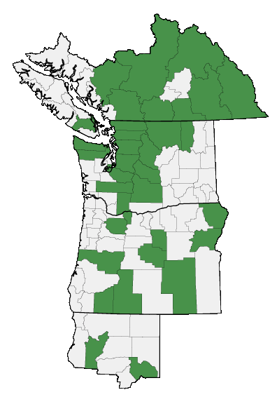 Map of where plant is found