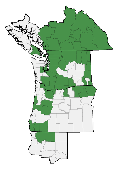 Map of where plant is found