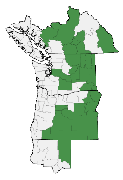 Map of where plant is found