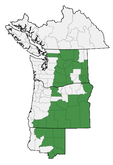 Map of where plant is found