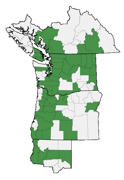 Map of where plant is found