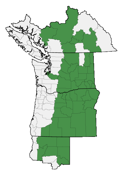 Map of where plant is found