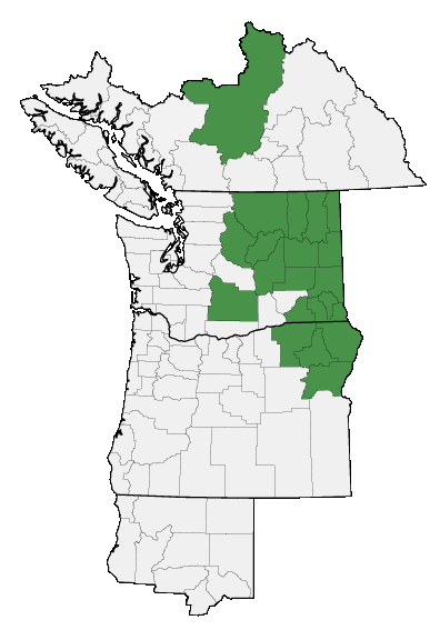 Map of where plant is found