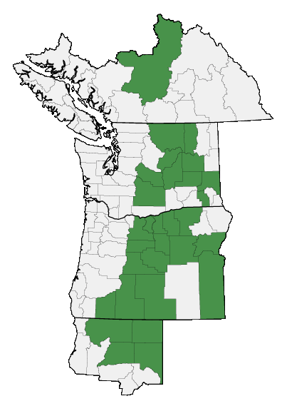 Map of where plant is found