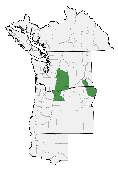 Map of where plant is found