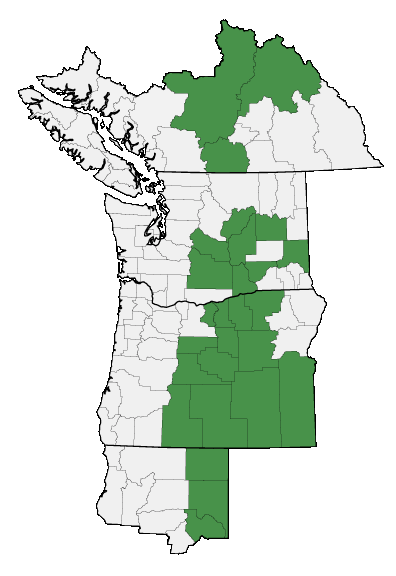 Map of where plant is found