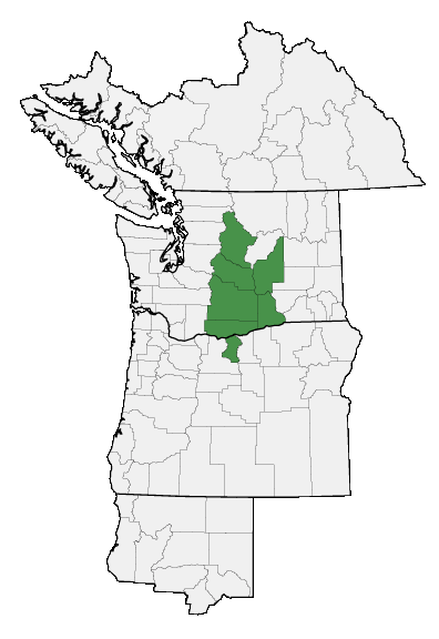 Map of where plant is found