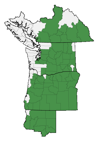 Map of where plant is found