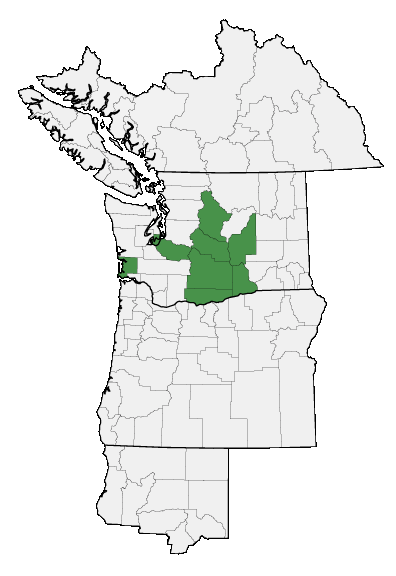 Map of where plant is found