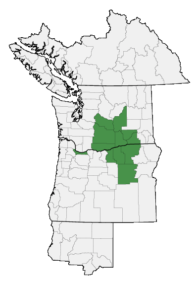 Map of where plant is found