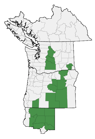 Map of where plant is found