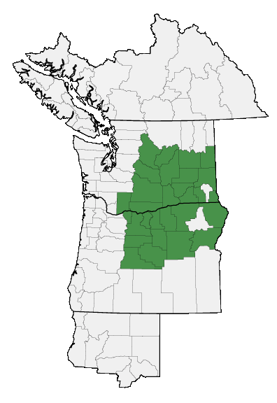 Map of where plant is found