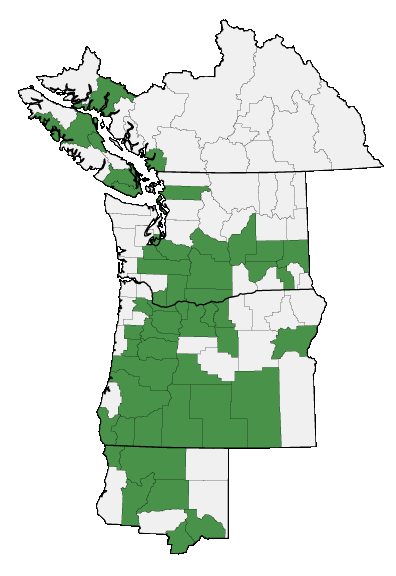 Map of where plant is found