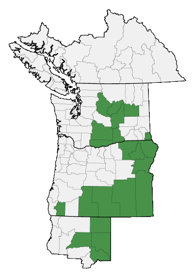 Map of where plant is found