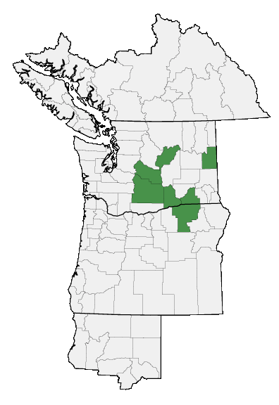 Map of where plant is found