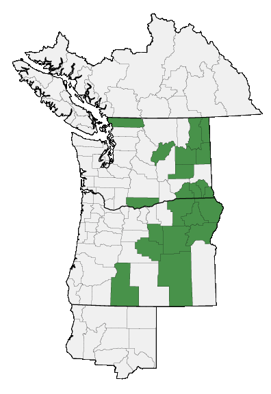 Map of where plant is found