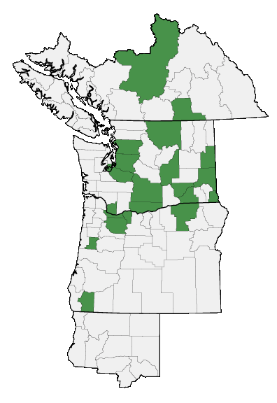 Map of where plant is found