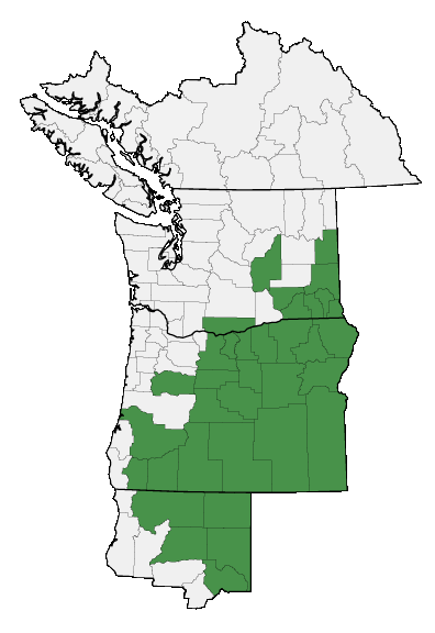 Map of where plant is found