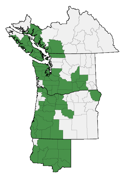 Map of where plant is found