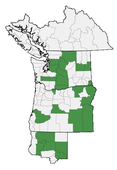 Map of where plant is found