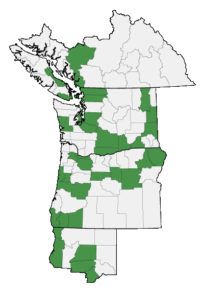 Map of where plant is found