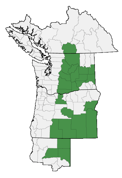 Map of where plant is found