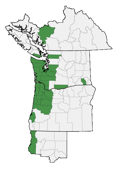 Map of where plant is found