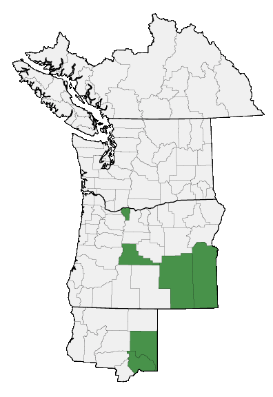 Map of where plant is found