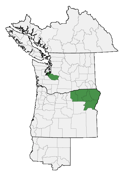 Map of where plant is found