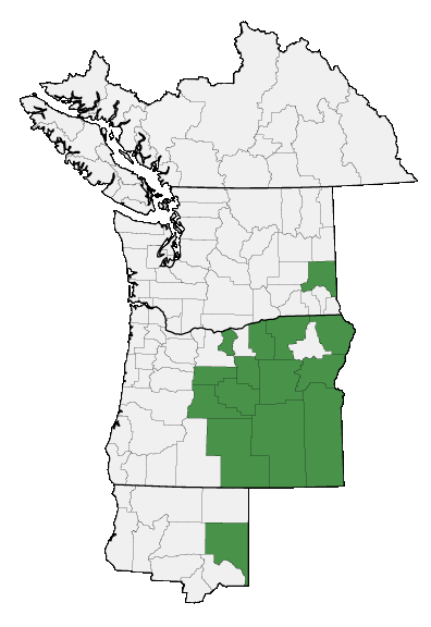 Map of where plant is found