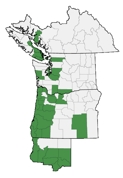 Map of where plant is found