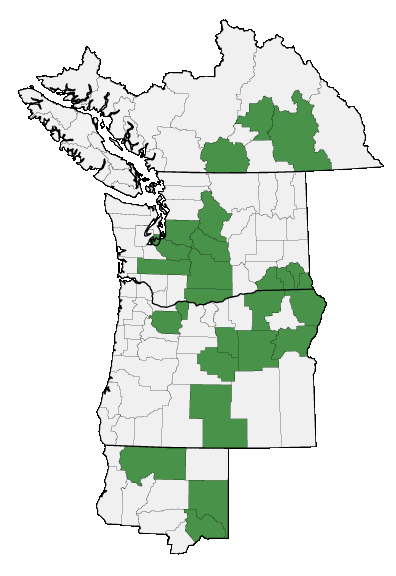 Map of where plant is found