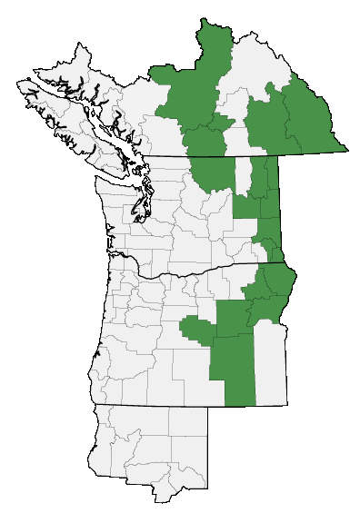 Map of where plant is found