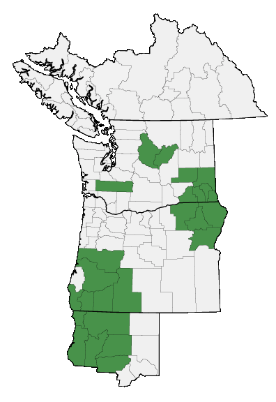 Map of where plant is found