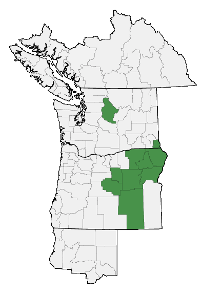 Map of where plant is found