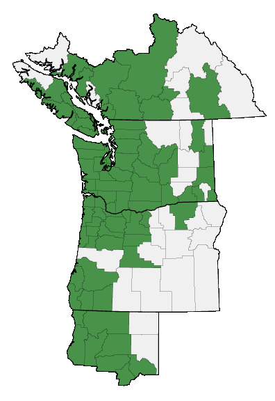 Map of where plant is found