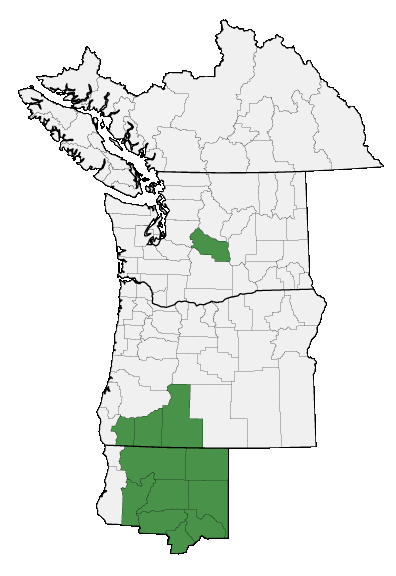 Map of where plant is found