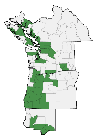 Map of where plant is found