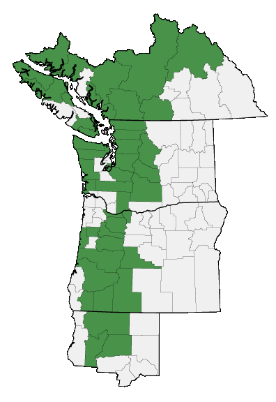 Map of where plant is found