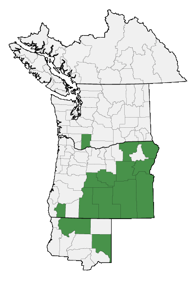 Map of where plant is found