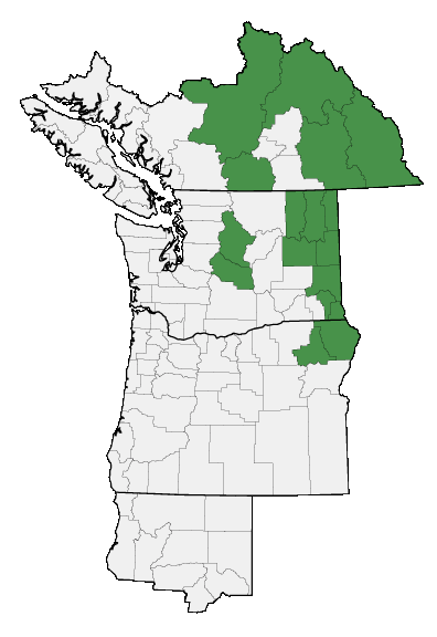 Map of where plant is found