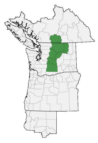 Map of where plant is found