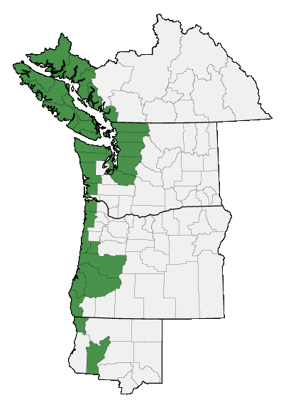 Map of where plant is found