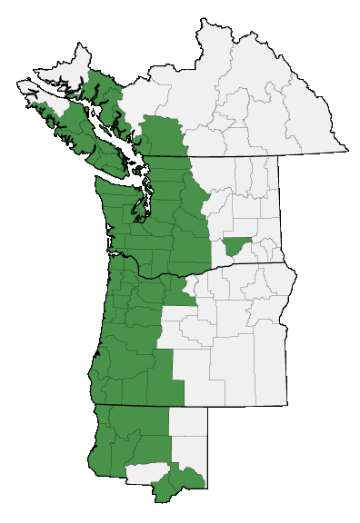 Map of where plant is found