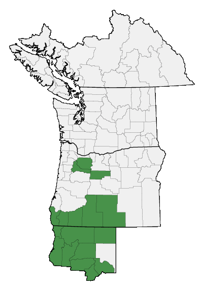 Map of where plant is found